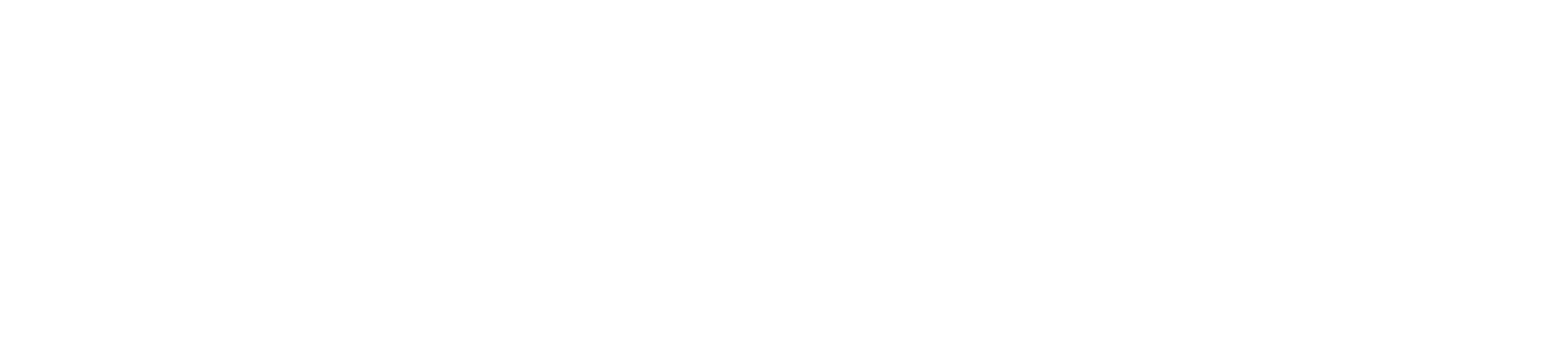 Black Noise